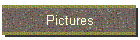 Pictures